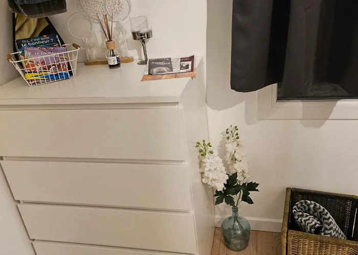 Apartament Magnifique